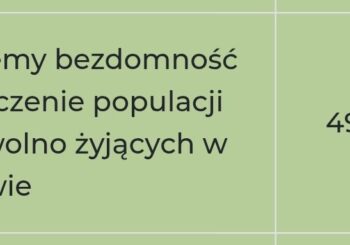 RBO 2026 – kastracje kotów