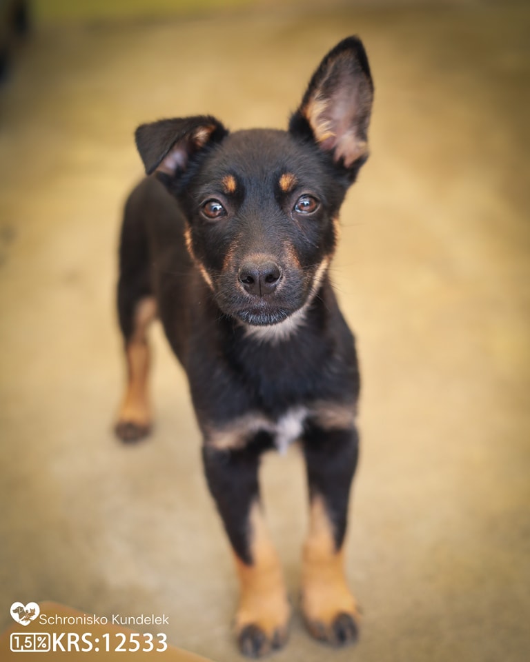 Max