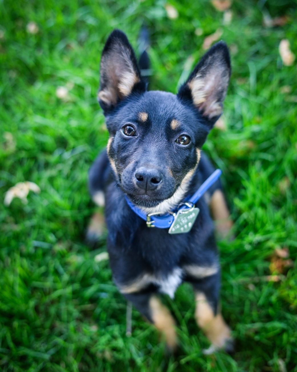 Max