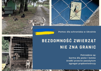 Pomoc dla schroniska w Ukrainie
