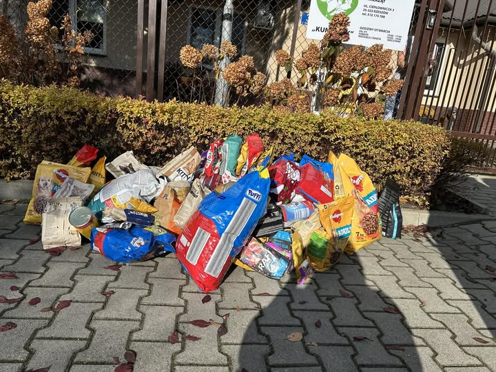 Przedszkole Akademia Dziecka w Rzeszowie