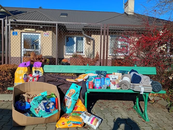 Akademia „Entliczek Pentliczek” w Rzeszowie