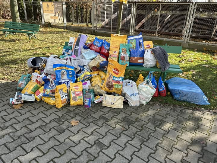 Szkoła Podstawowa nr 29 w Rzeszowie