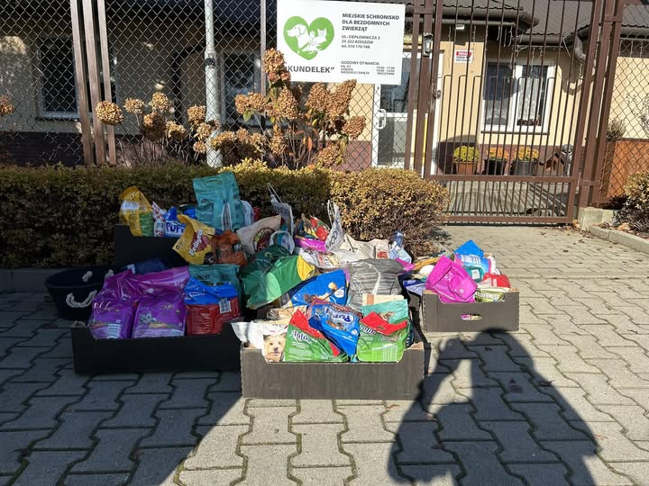 Szkoła Podstawowa nr 9 w Rzeszowie